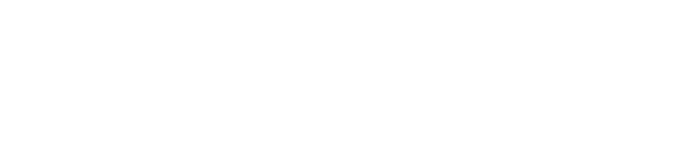 IV Capital